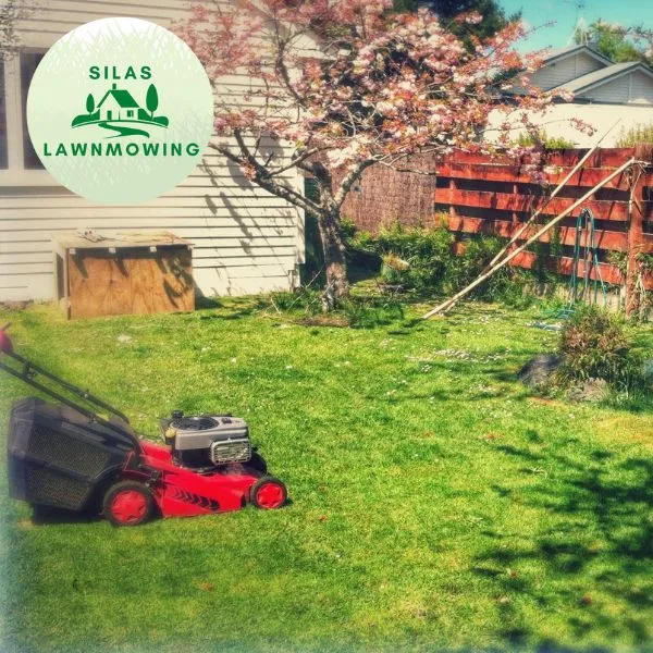 Red mower on a lawn in front of a house and flowering tree in West Auckland