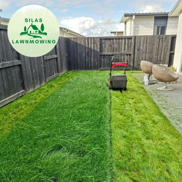 Neatly striped lawn between two fences after a mow in West Auckland